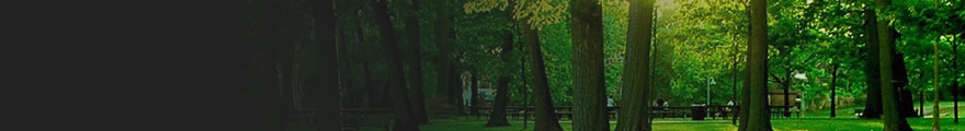 Banner Photo
