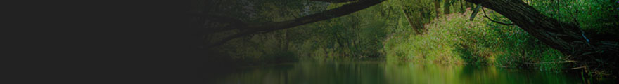 Banner Photo