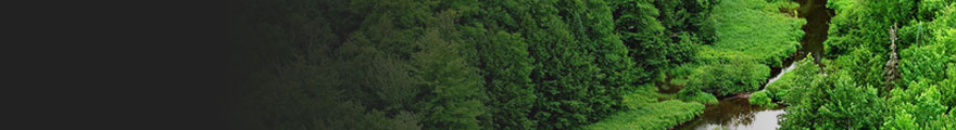 Banner Photo