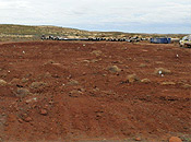 Photo No.5
