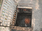Photo No.3