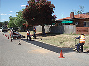 Photo No.5