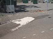 Photo No.2