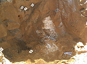 Photo No.4
