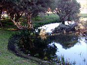 Photo No.1