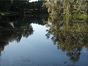 Photo No.2