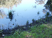 Photo No.3