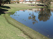 Photo No.6