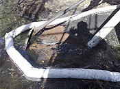 Photo No.6