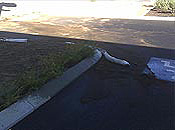 Photo No.3